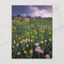 Recherche de environnement cartes postales La nature