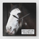 Zoek naar mooi paard kunst Ruiter
