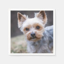 Recherche de yorkshire serviettes Dog