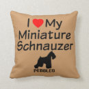 Recherche de miniature coussins Coeur