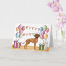 Zoek naar ridgebacks kaarten Afrikaanse leeuwenhond