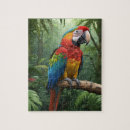 Zoek naar papegaaien puzzels Wild