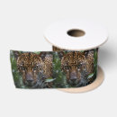 Recherche de visage de jaguar Faune