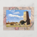 Recherche de désert de chameau cartes postales Vintage