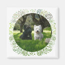 Recherche de chien westie magnets Animaux