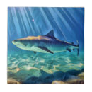 Recherche de requin carreaux Océan