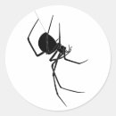Recherche de araignée autocollants Noir