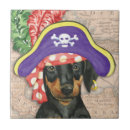 Recherche de dobermann carreaux Dobie
