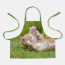 Recherche de chatons tabliers Drôle