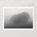 Recherche de fosse cartes postales Hiver