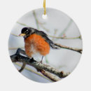 Recherche de oiseaux de merle ornements Orange