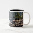 Recherche de washington state tasses Ie