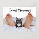 Recherche de good morning cartes postales Humour
