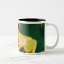 Recherche de arbre rouge tasses Nature