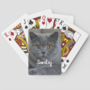 Recherche de de chat jeux Photo du chat
