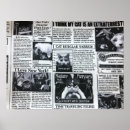 Recherche de chat fou posters Félin
