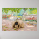 Zoek naar pekinees posters Pekingese