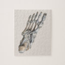 Zoek naar voeten puzzels Botten