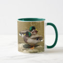 Recherche de canard tasses Oiseau