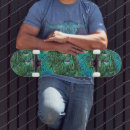 Recherche de paon skateboards Plumes de paon