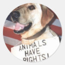 Recherche de animal droits autocollants Chien