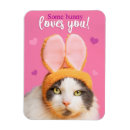 Recherche de valentine drôle de chat Animal