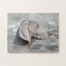 Zoek naar weimaraner puzzels Dier