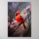 Recherche de oiseaux posters Aviaire