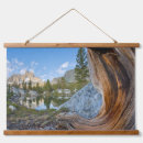 Recherche de ansel adams posters Galerie jaynes