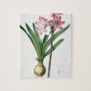 Recherche de amaryllis puzzles Fleurs