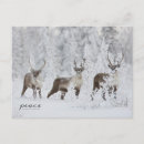Recherche de caribou vœux cartes Faune