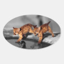 Recherche de spotter autocollants Chats jungle