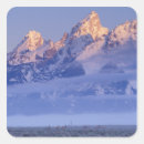 Recherche de cornue autocollants Nature