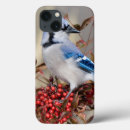 Recherche de de faune tablettes coques Aviaire