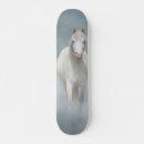 Recherche de cheval comp skateboards Animal