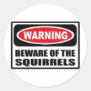 Recherche de squirrel autocollants Animaux