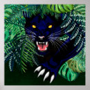 Recherche de black panther Cat