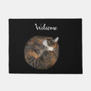 Recherche de minou de sommeil Mignon