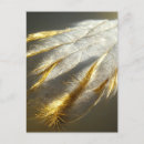 Recherche de dore cartes postales Paradis