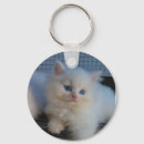 Recherche de chat persan porteclés Animal familier