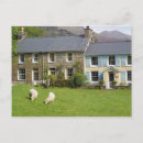 Recherche de pays de galles cartes postales Vacances