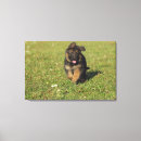Recherche de arrière cour art Animal