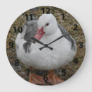 Zoek naar duck klokken Foto