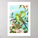 Zoek naar parkieten posters Bloemen