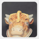 Zoek naar keramiek etiketten School