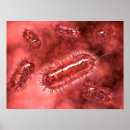 Recherche de microbiologie posters Forme de tige