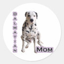 Recherche de dalmatiens autocollants Dog