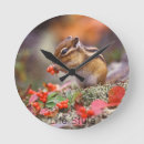 Recherche de reloj horloges Paré