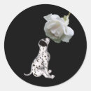 Recherche de dalmate autocollants Animal
