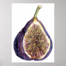 Recherche de figues posters Aquarelle
